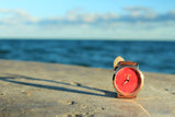 RED Jolt